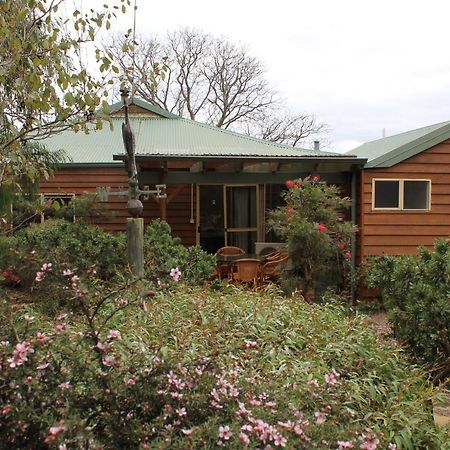 Sunflowers Animal Farm&Farmstay Pensión Margaret River Exterior foto